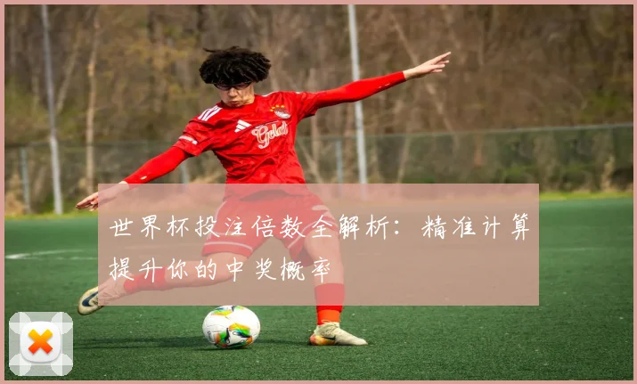 世界杯投注倍数全解析：精准计算提升你的中奖概率