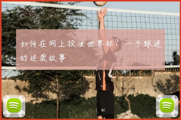如何在网上投注世界杯?一个球迷的逆袭故事