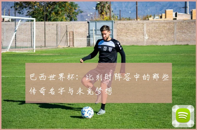巴西世界杯：比利时阵容中的那些传奇名字与未竟梦想
