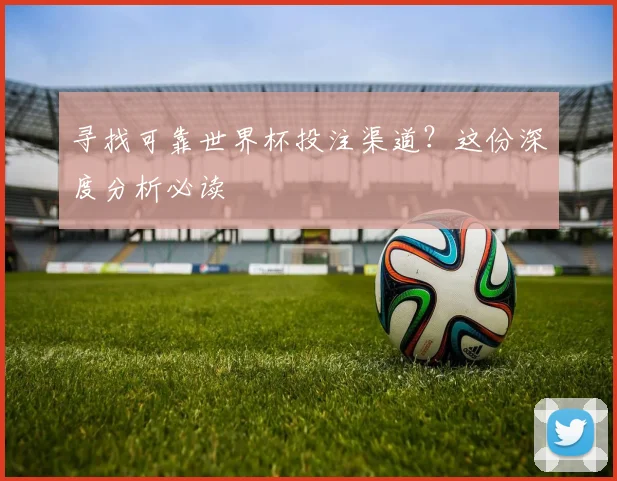 寻找可靠世界杯投注渠道？这份深度分析必读