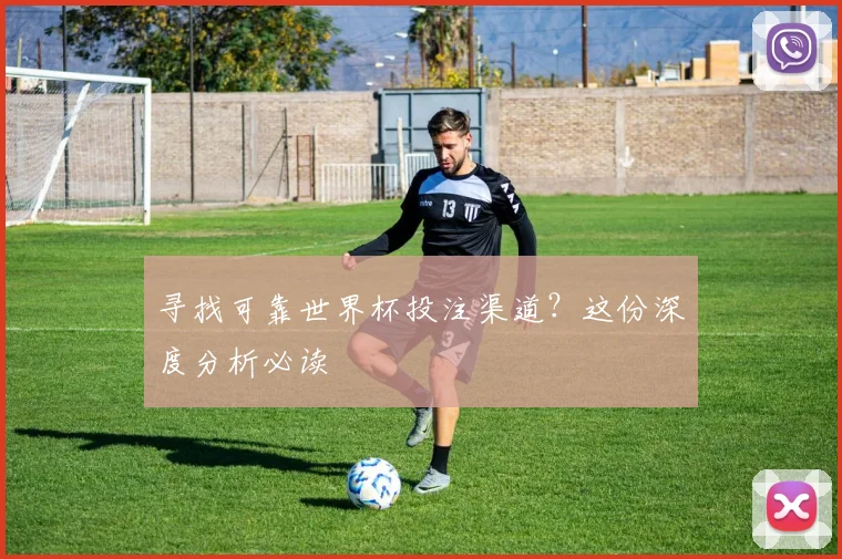 寻找可靠世界杯投注渠道？这份深度分析必读
