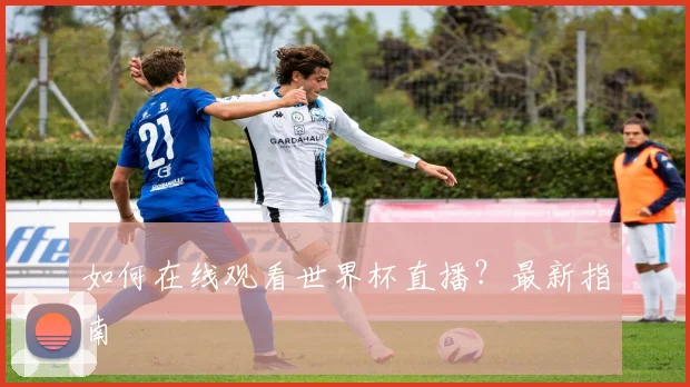 如何在线观看世界杯直播?最新指南