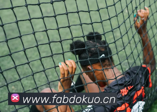 星空体育最新官网地址平台生态图